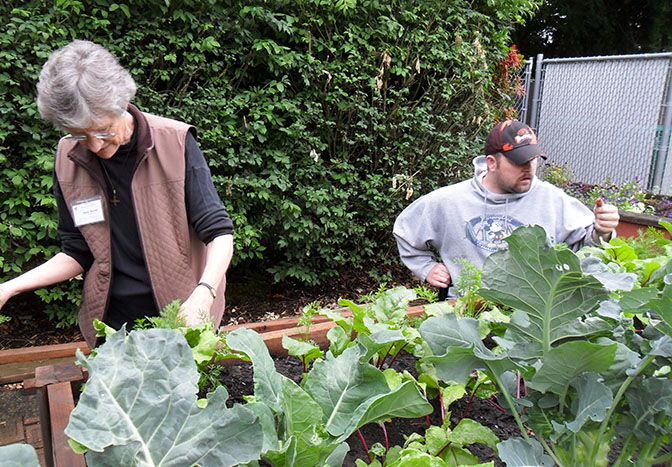 Clients working in the garden